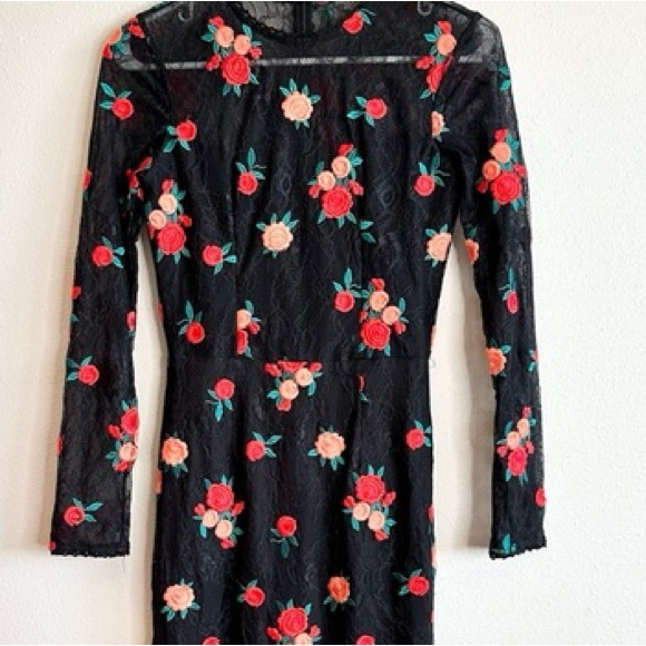 Sophia Long Sleeve Embroidered Illusion Dress - Picture 4 of 4